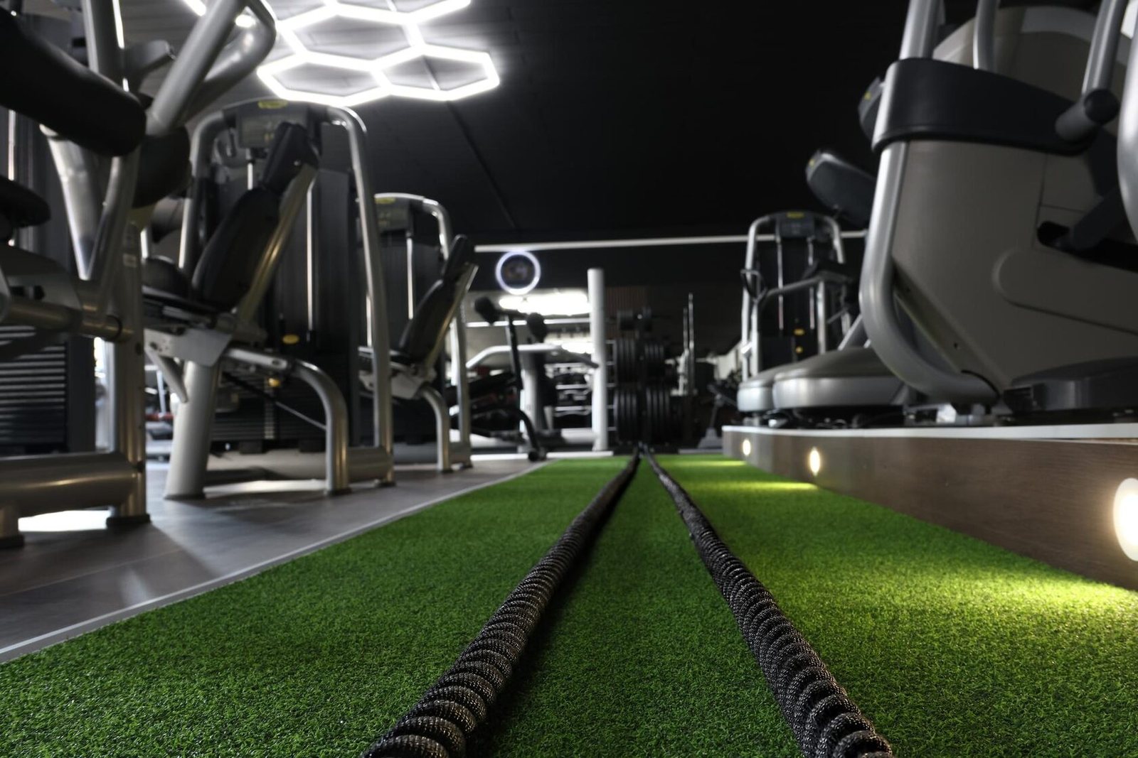 Functional-Zone mit Battle Ropes auf Kunstrasenbahn