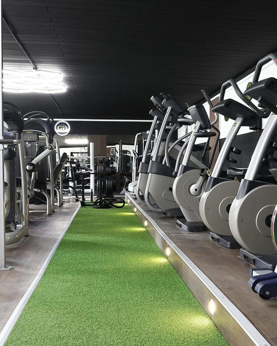 Cardio-Bereich im Global Gym Wenzenbach
